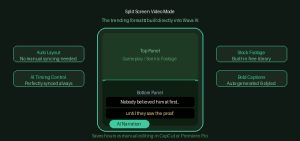 Split Screen Video Mode